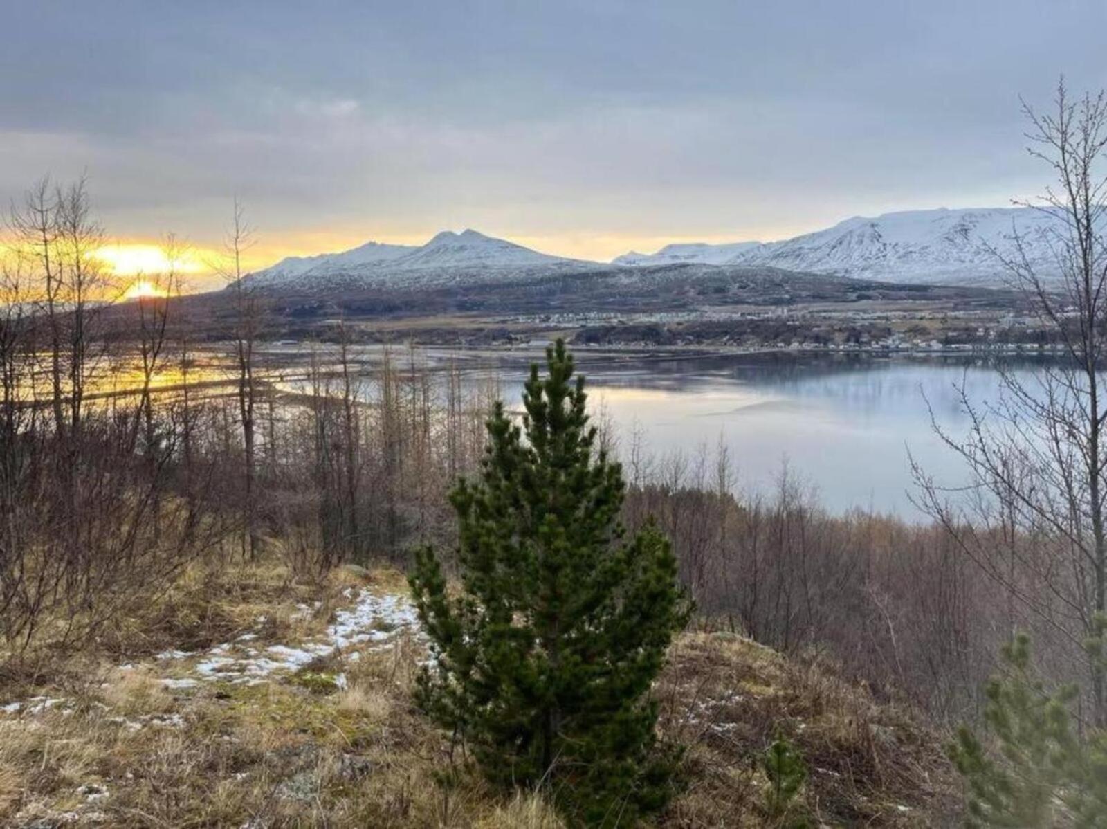 Cozy 2 Bedroom Cottage With Hot Tub Akureyri Eksteriør billede